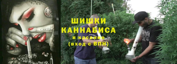 ешки Алзамай