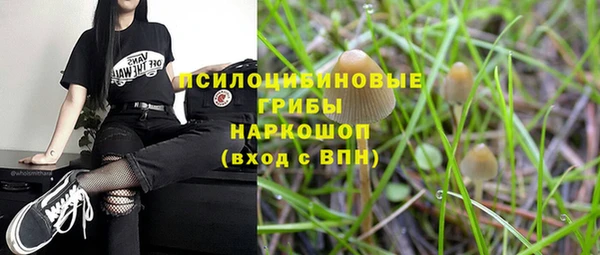 ПСИЛОЦИБИНОВЫЕ ГРИБЫ Алексин