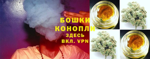 ешки Алзамай